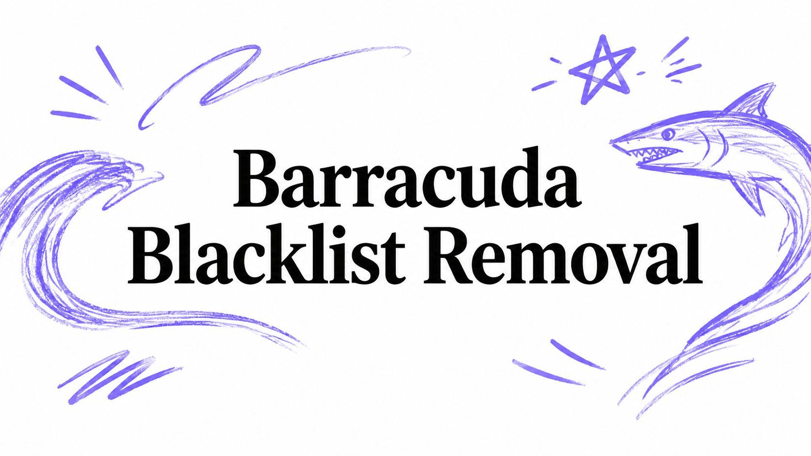 Barracuda Blacklist Removal